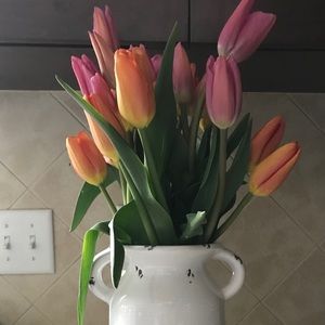 Meet your Posher, Angel